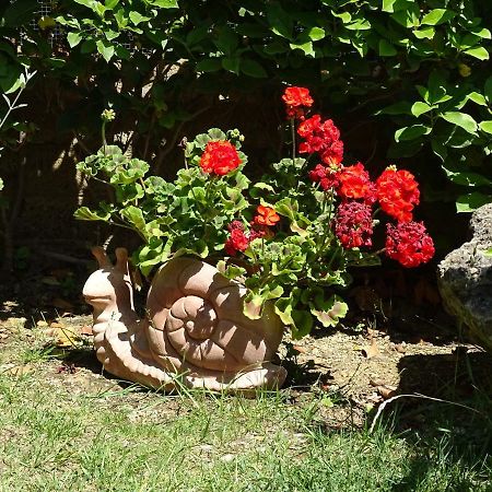 B&B La Dolce Vita Marsiliana Eksteriør billede