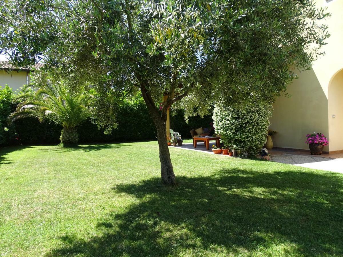 B&B La Dolce Vita Marsiliana Eksteriør billede