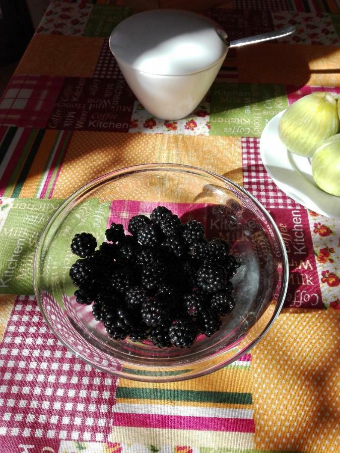B&B La Dolce Vita Marsiliana Eksteriør billede