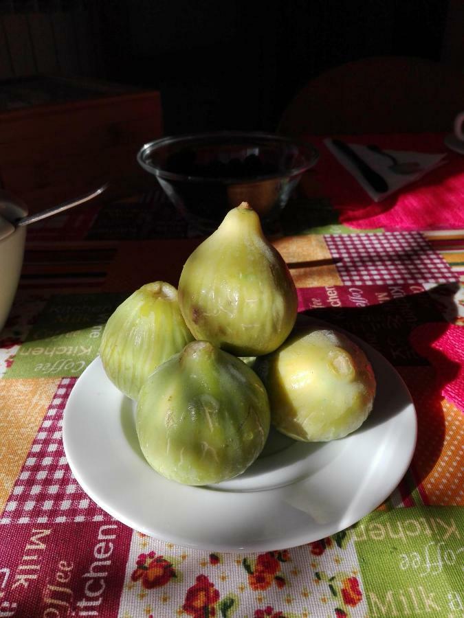 B&B La Dolce Vita Marsiliana Eksteriør billede